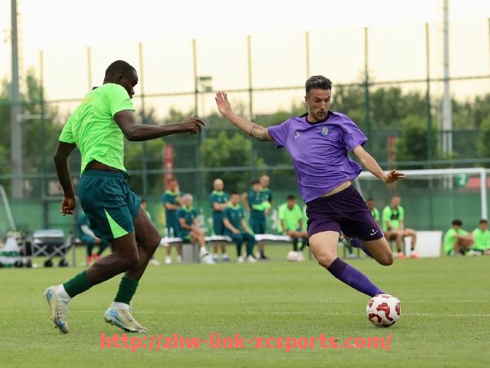 杏彩体育-法甲巴黎球衣销量：巴黎圣日耳曼球衣的全球销量与市场需求