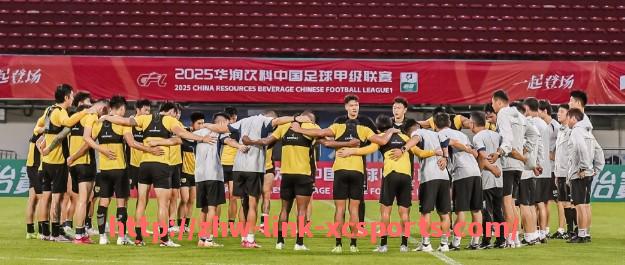 杏彩体育-2012年NBA总决赛的精彩回顾与历史意义