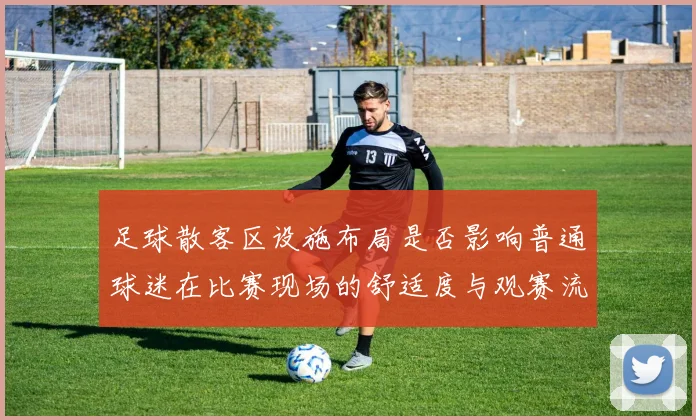 足球散客区设施布局是否影响普通球迷在比赛现场的舒适度与观赛流线控制